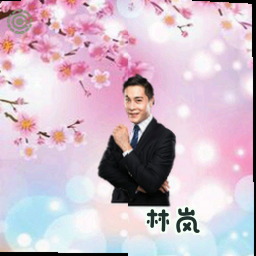 林岚